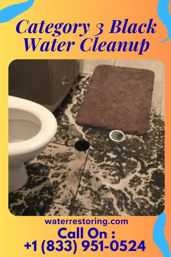 Category 3 Black Water Cleanup in South Charleston, OH