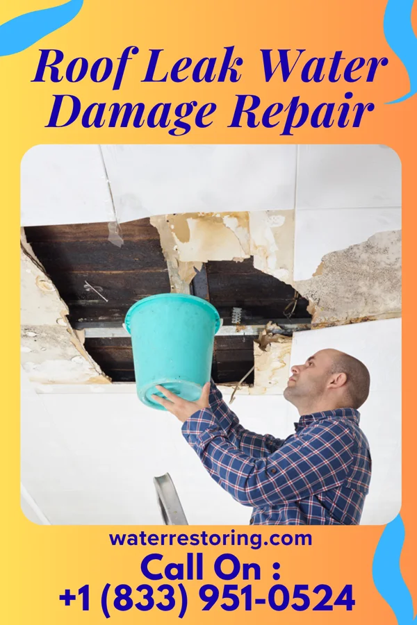 Roof Leak Water Damage Repair in South Charleston, OH