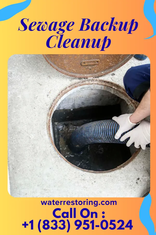 Sewage Backup Cleanup in South Charleston, OH