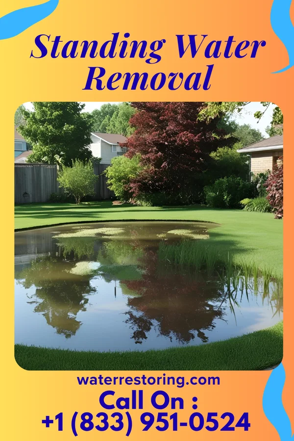 Standing Water Removal in South Charleston, OH
